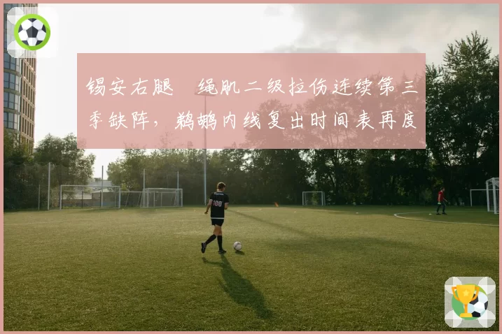 锡安右腿腘绳肌二级拉伤连续第三季缺阵，鹈鹕内线复出时间表再度推迟