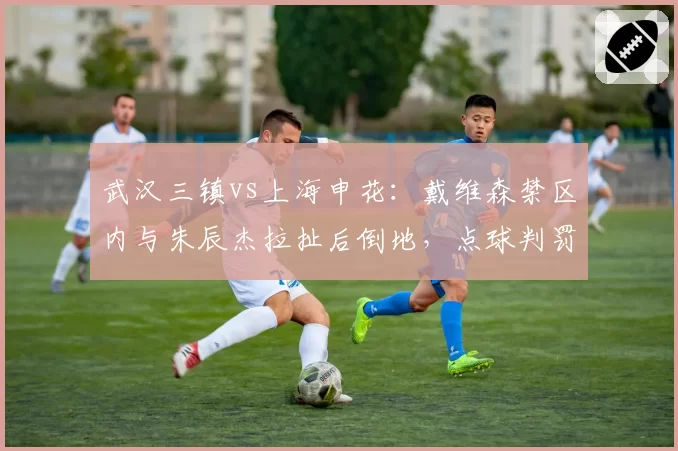 武汉三镇vs上海申花：戴维森禁区内与朱辰杰拉扯后倒地，点球判罚引发申花集体抗议