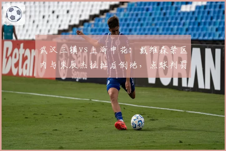 武汉三镇vs上海申花：戴维森禁区内与朱辰杰拉扯后倒地，点球判罚引发申花集体抗议