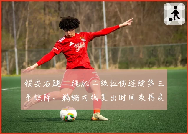 锡安右腿腘绳肌二级拉伤连续第三季缺阵，鹈鹕内线复出时间表再度推迟